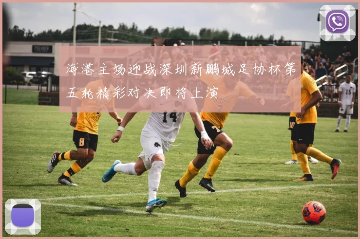 海港主场迎战深圳新鹏城足协杯第五轮精彩对决即将上演
